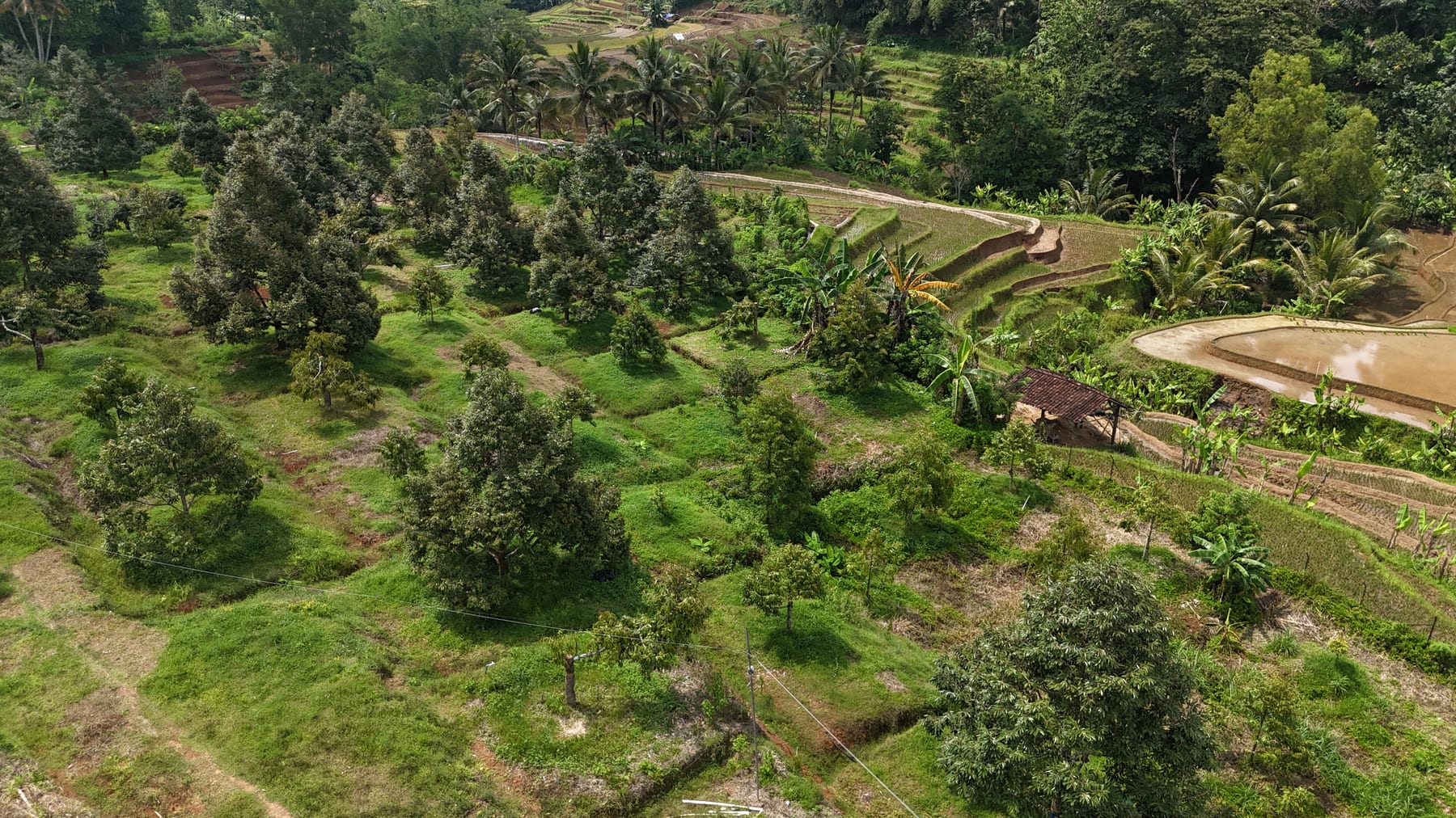 Yang membuat kami ada